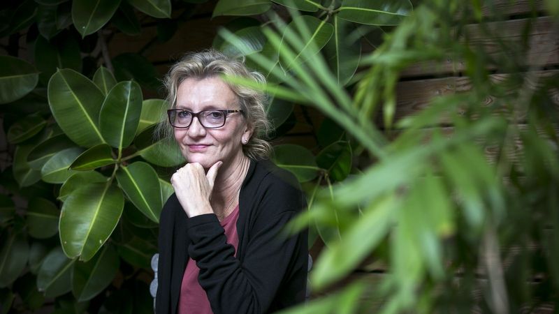 Elizabeth Strout | Edicions de 1984
